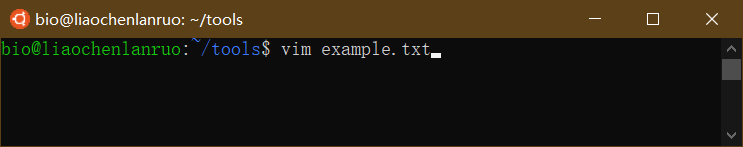 创建“example.txt”文档
