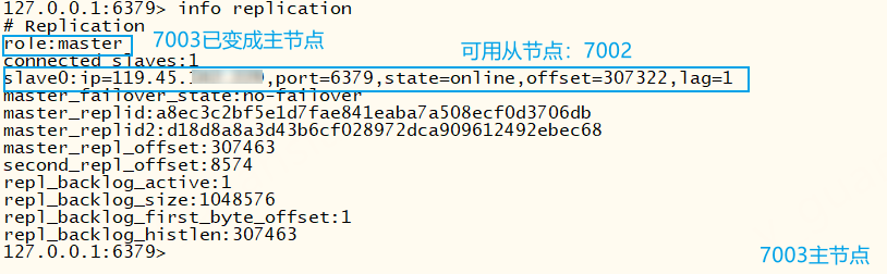 image-20240905162808629