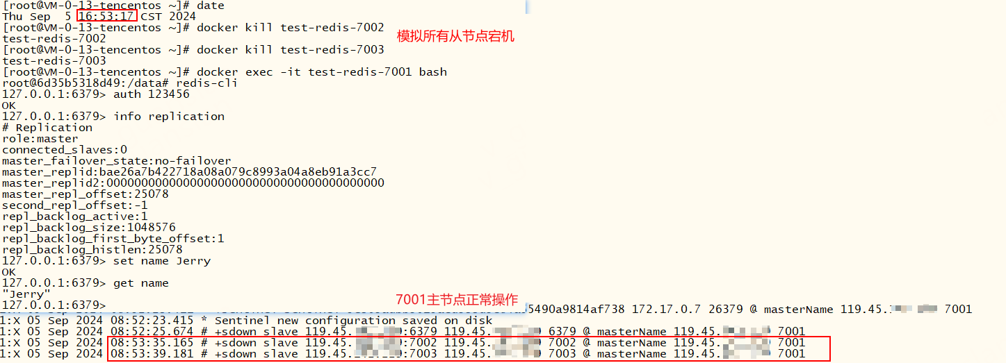 image-20240905165933781