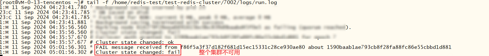 image-20240911130655038