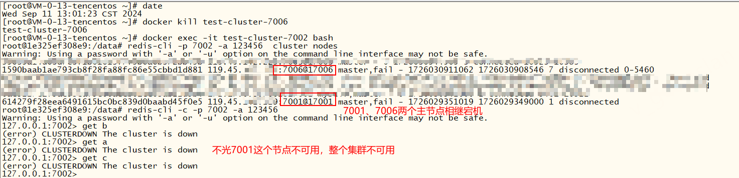 image-20240911142723096