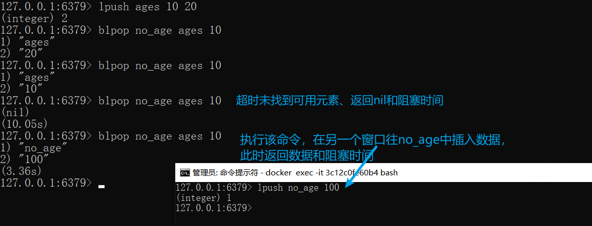 image-20221209165922502