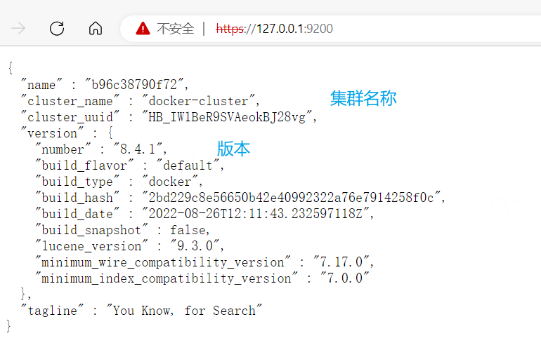 image-20230131162605503