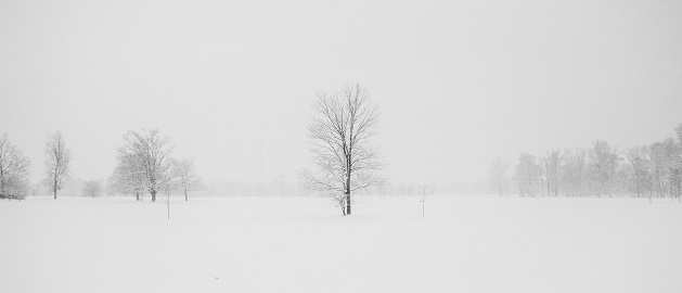 2021年的第一场雪，有  点  大