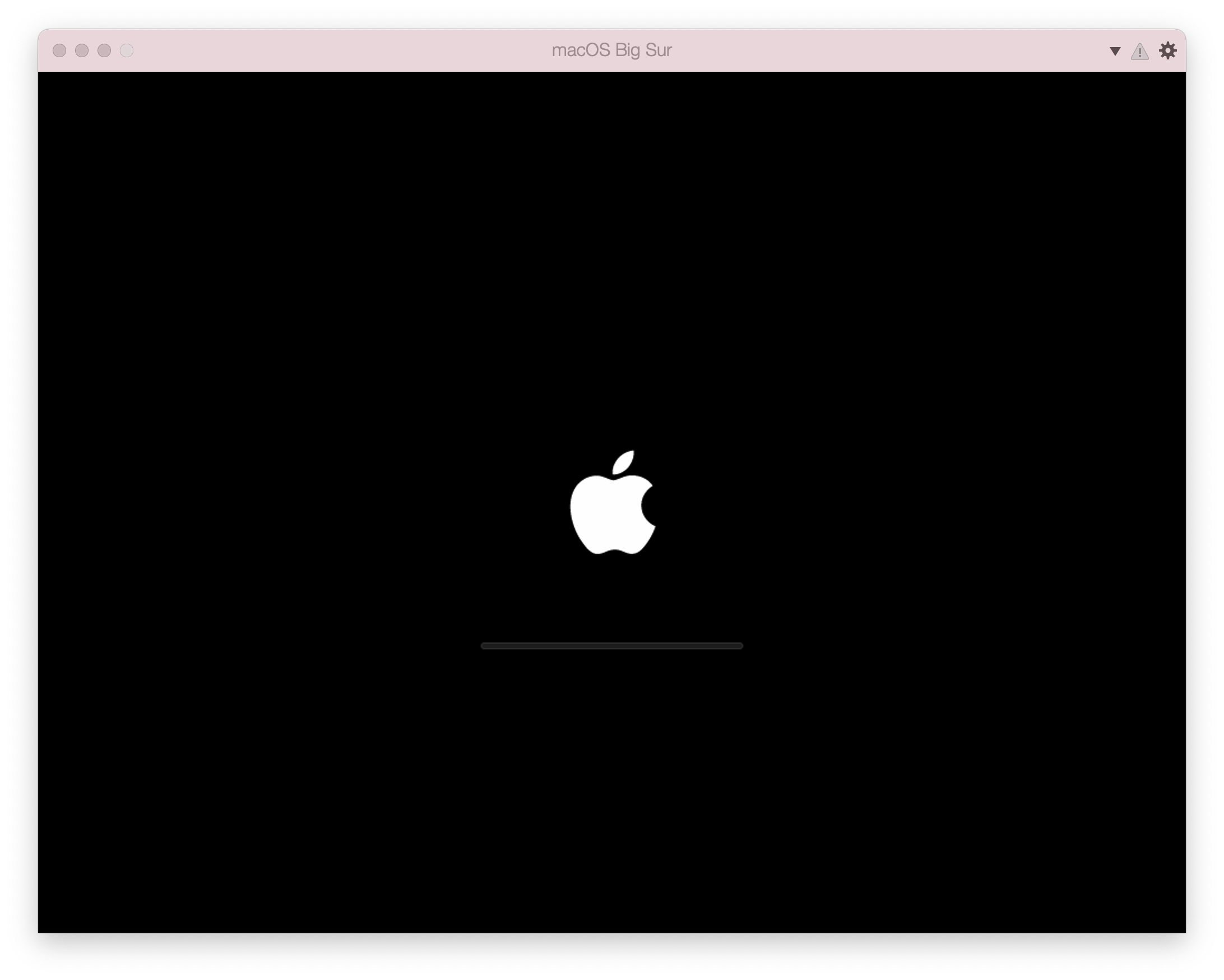 BigSur_Installer_016