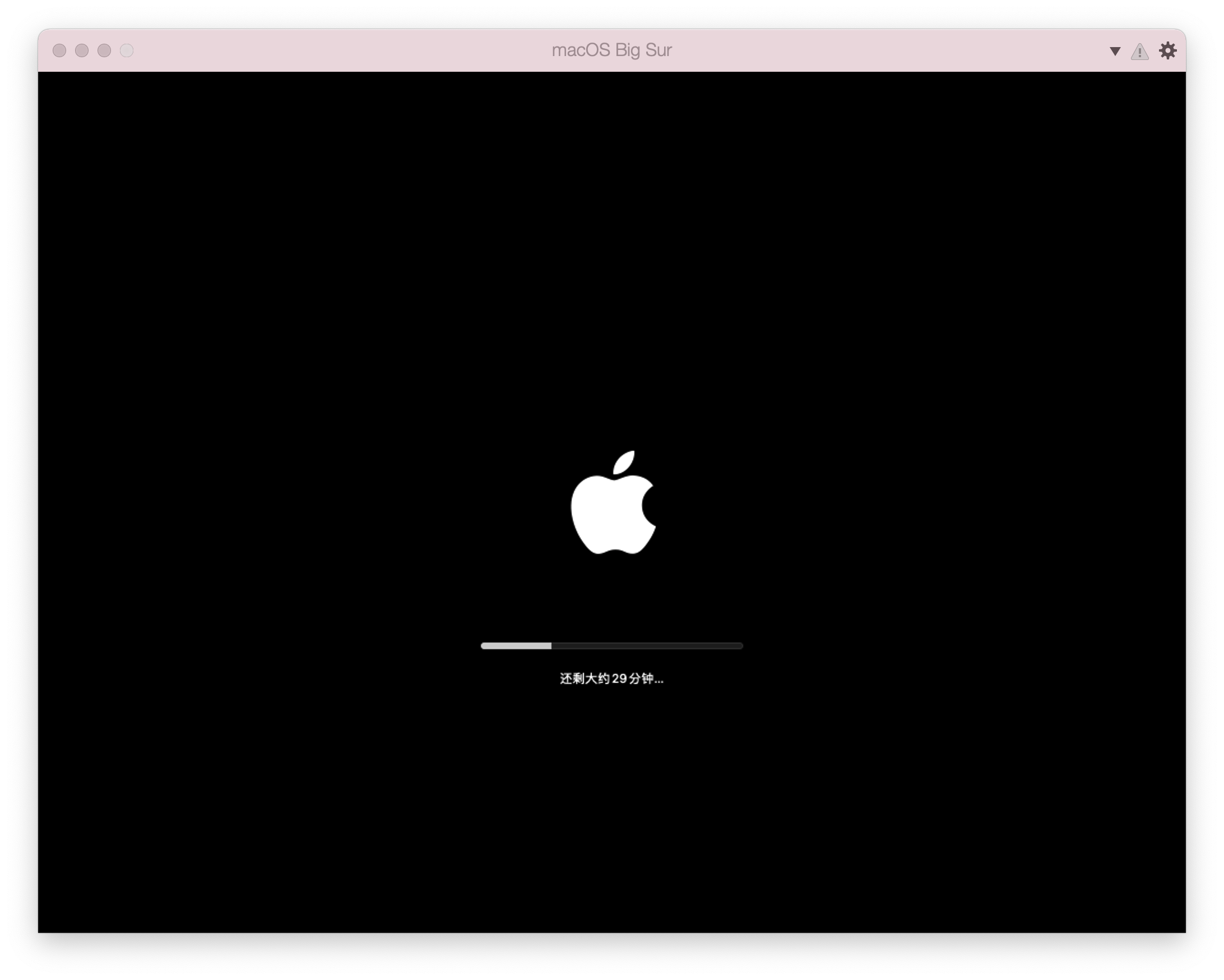 BigSur_Installer_017