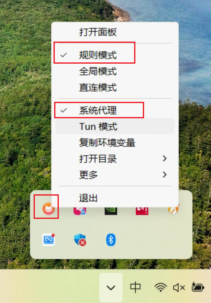 启用系统代理