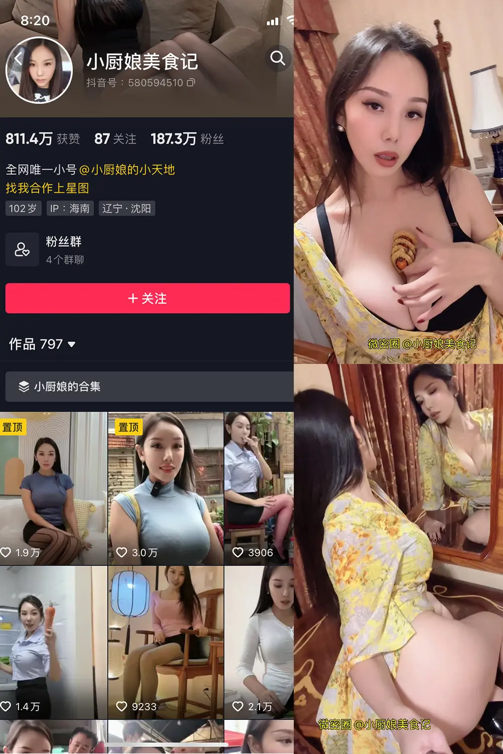 小厨娘美食记微密圈