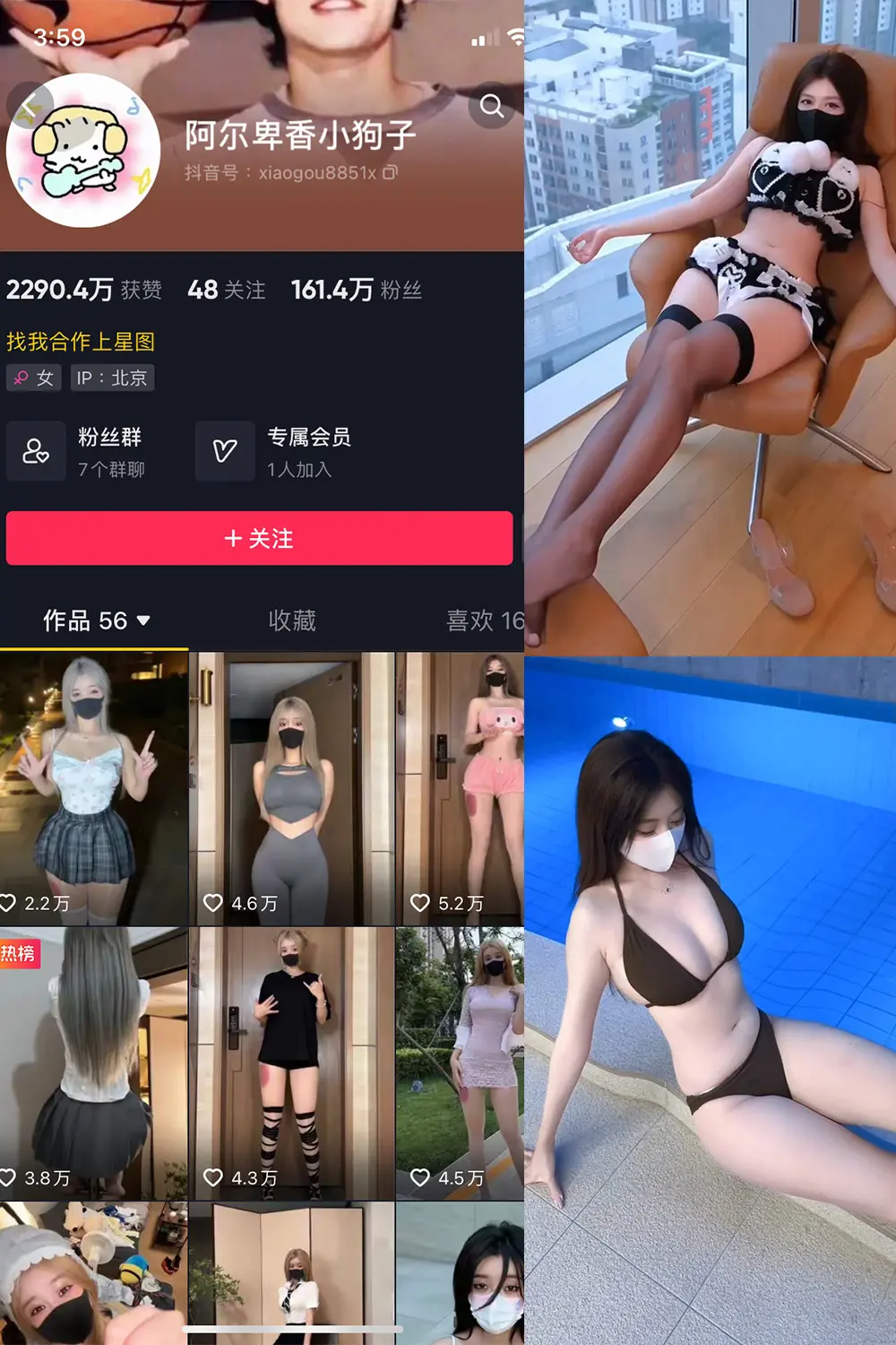 抖音 阿尔卑香小狗子 微密圈 | 觅圈 NO.062期 【8V】最新至：2025.5.22-映美视界