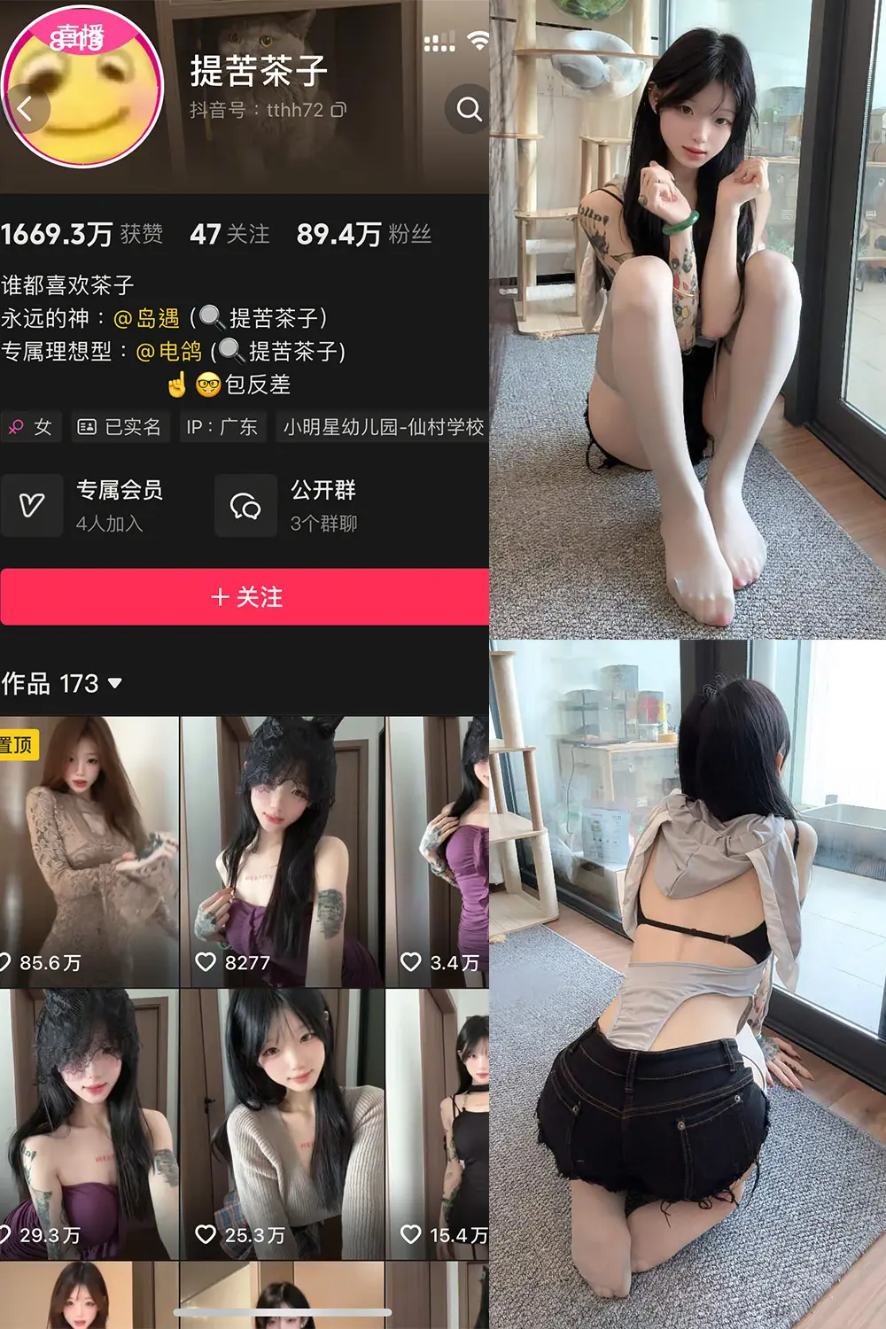 提苦茶子岛遇