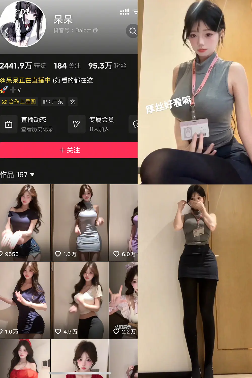 呆呆岛遇