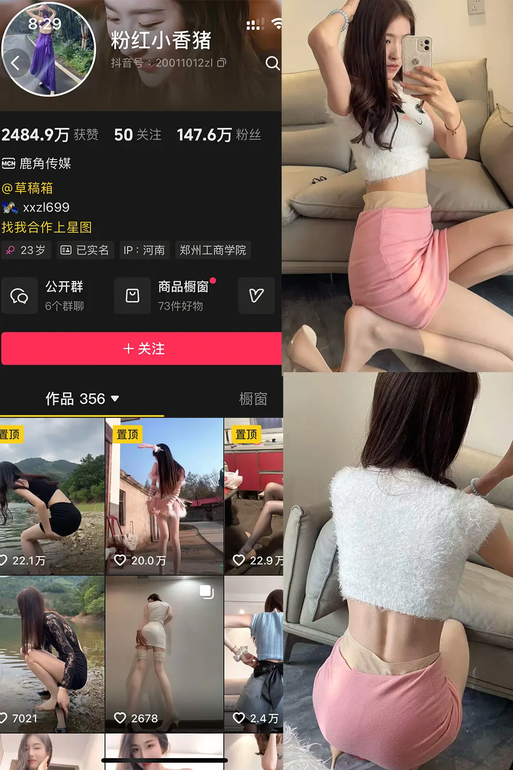 粉红小香猪岛遇