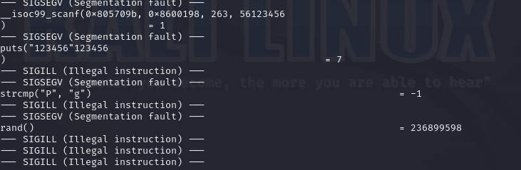 image-20241209190830944