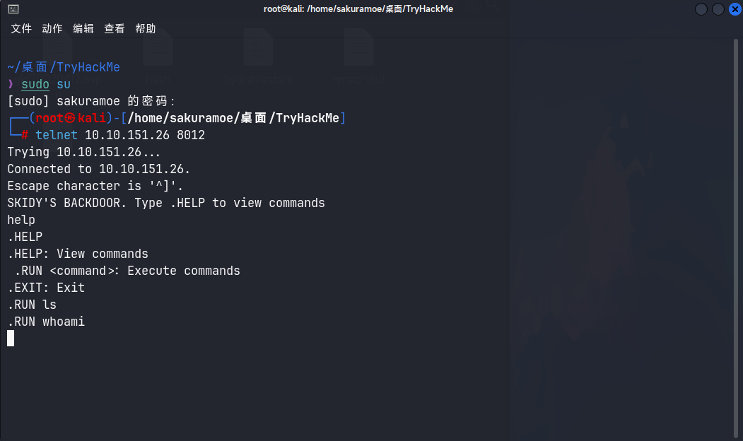 image-20231106204811557