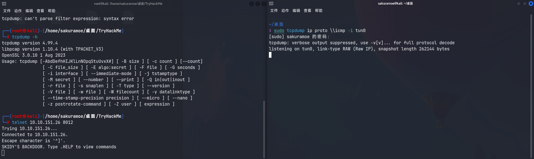 image-20231106205415727