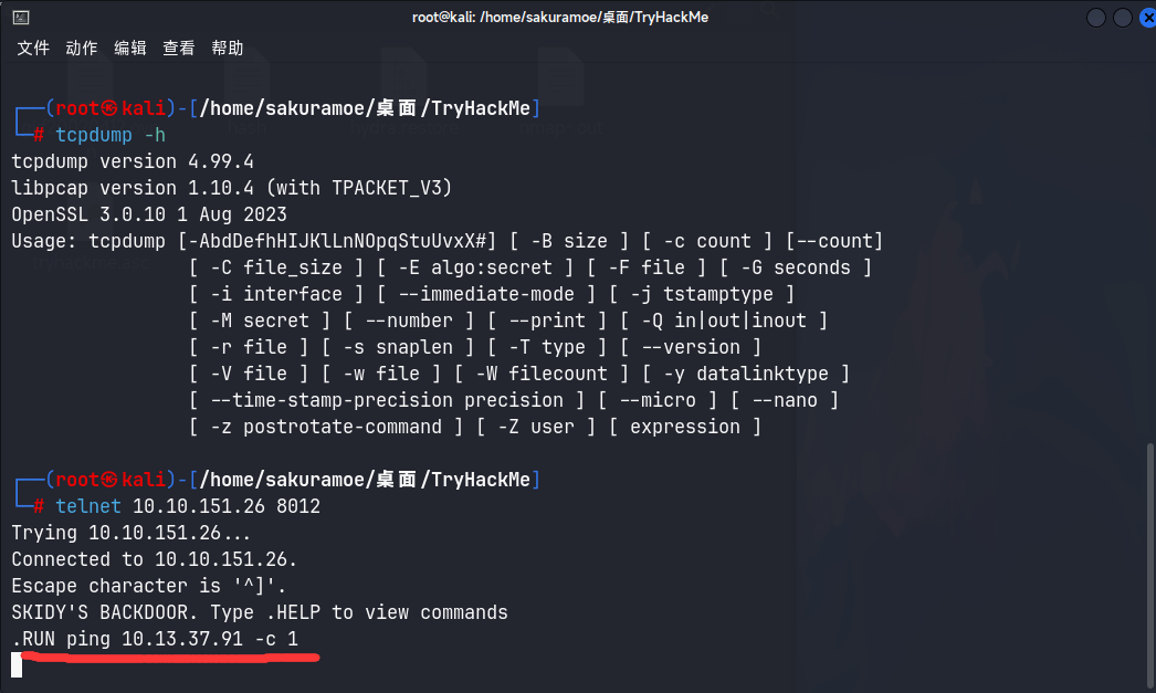 image-20231106205612382