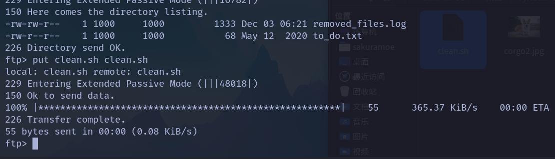 image-20231203143020975