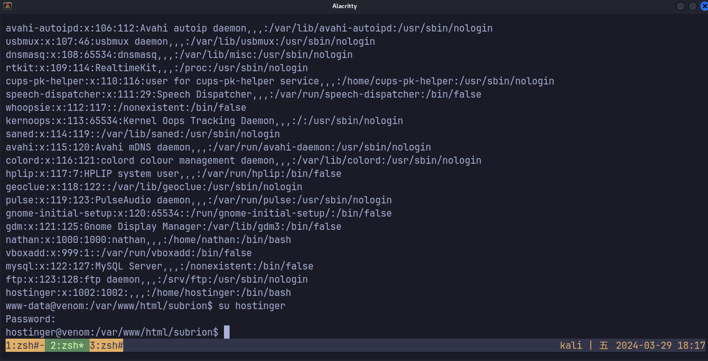 image-20240329181711861