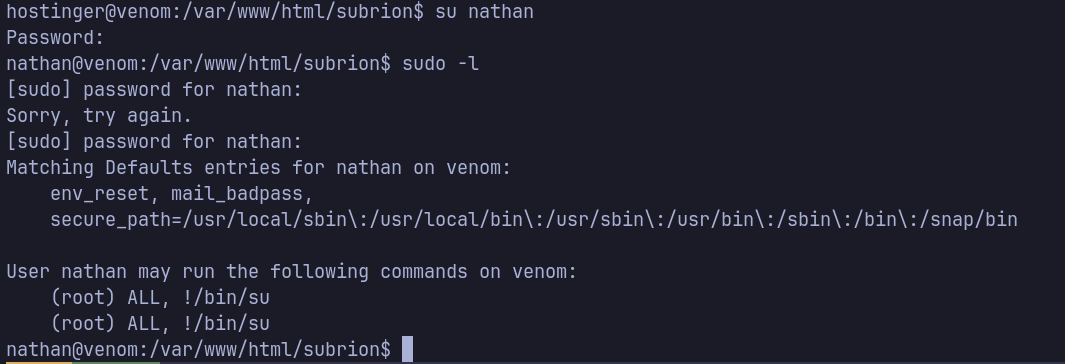 image-20240329182702325