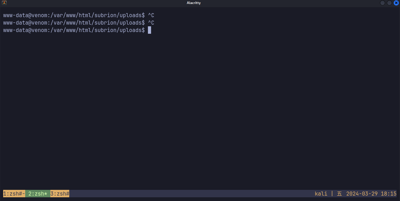 image-20240329181509895