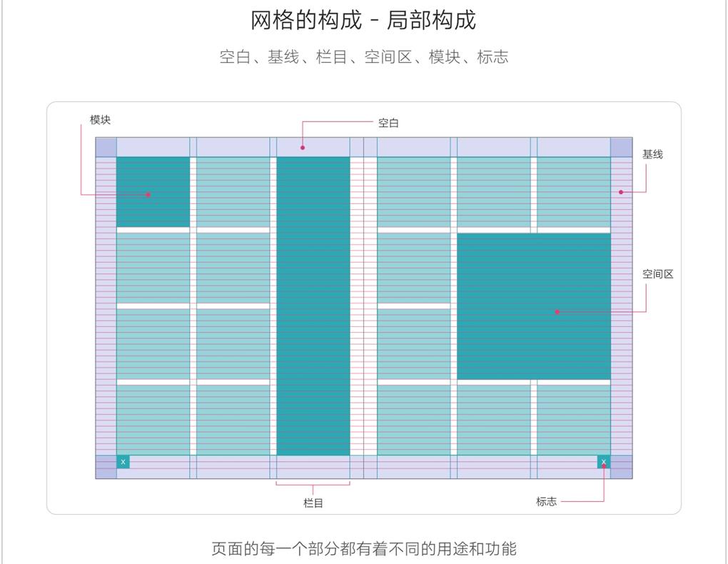 网格的局部构成