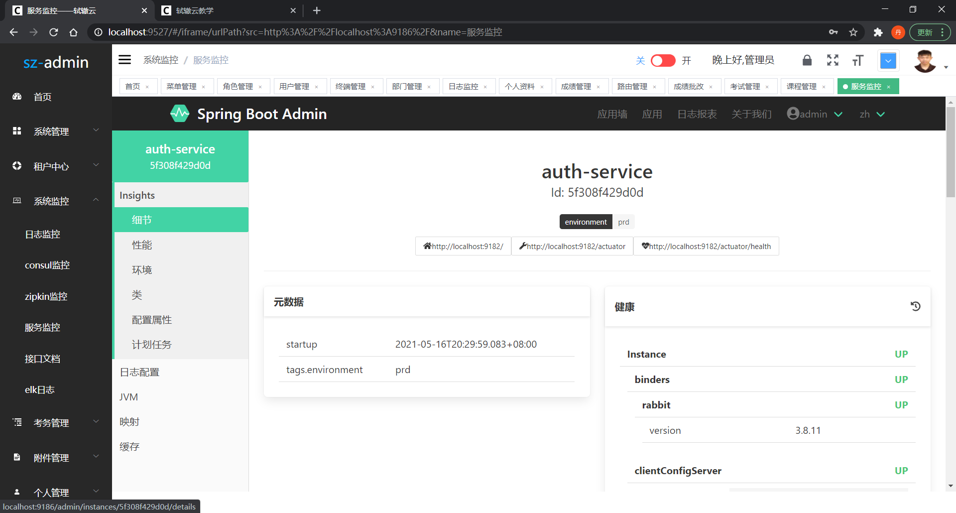 Spring Boot Admin Monitor Detail