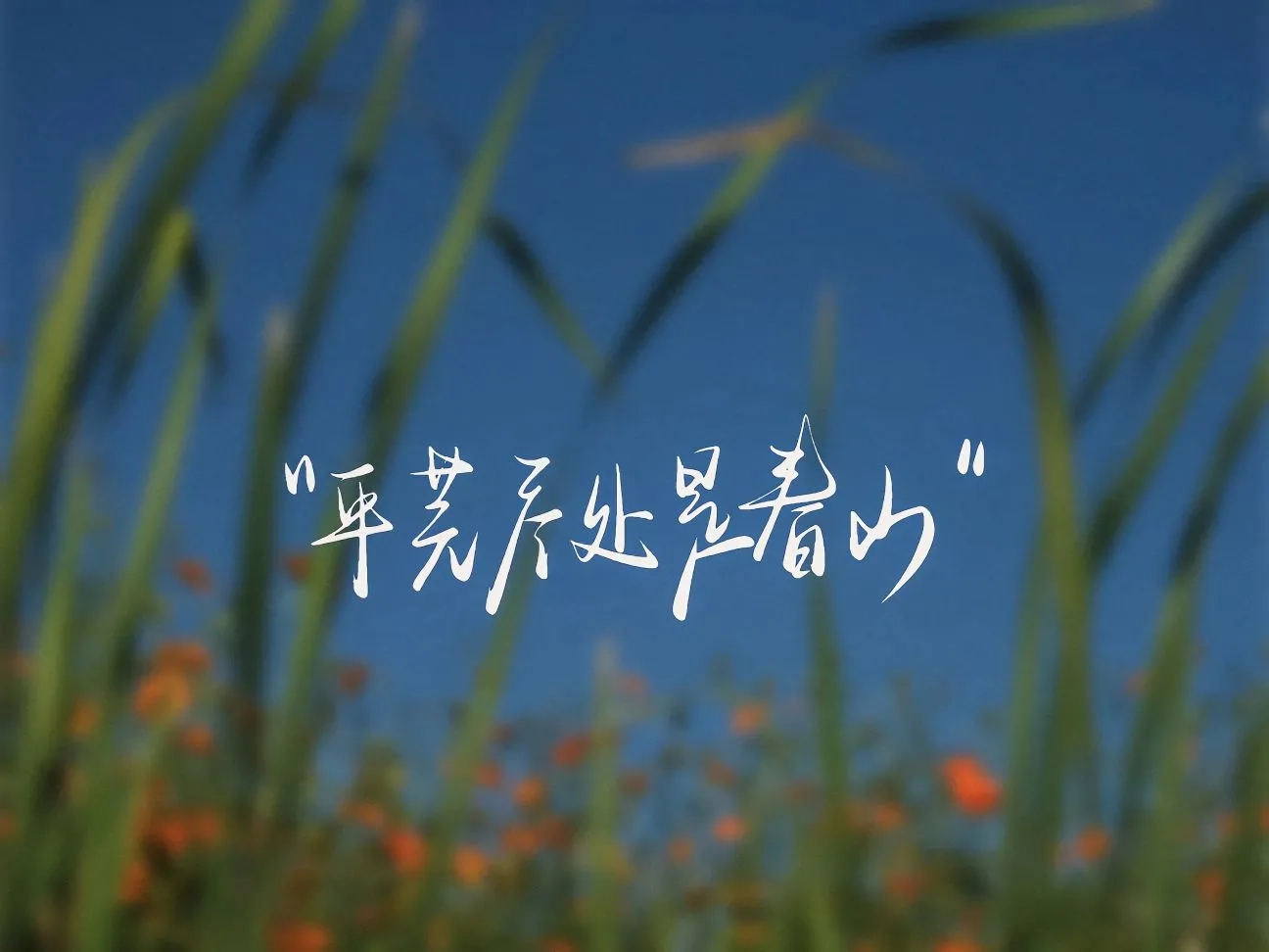 JadeAI:AI 驱动的智能简历构建器,让你的简历脱颖而出