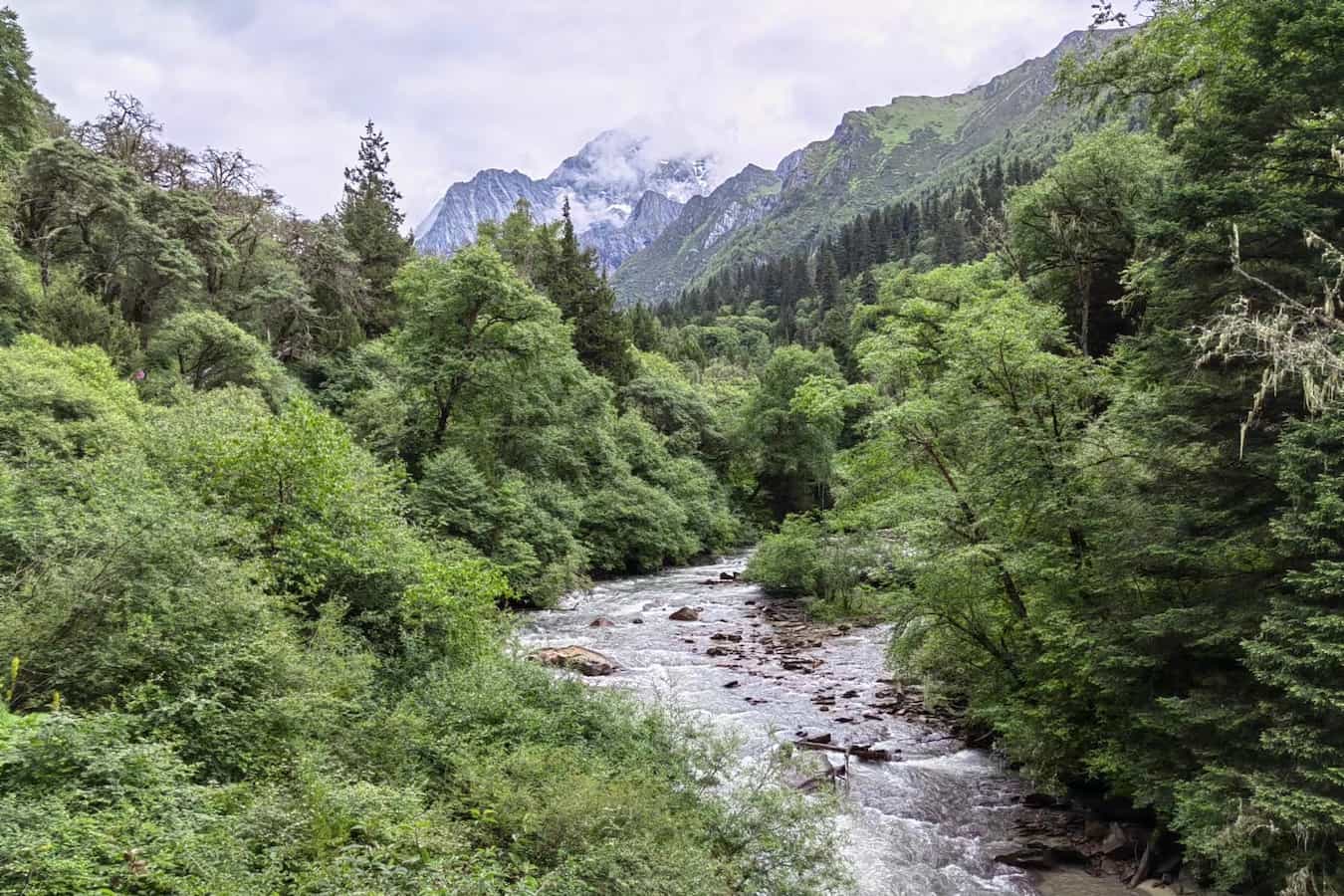 青山不改，绿水长流