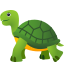 Turtle :turtle: 🐢